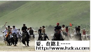 Two Summer Festival in Tibet (23 days)