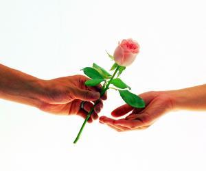 【公益入门】“赠人玫瑰”与“受人玫瑰” 手中都有爱的芳