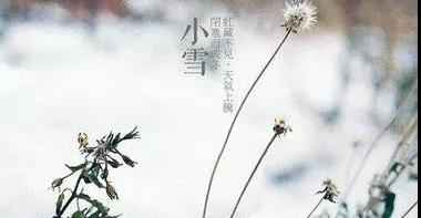 【节气特辑】小雪特辑 | 愁人正在书窗下，一片飞来一片寒